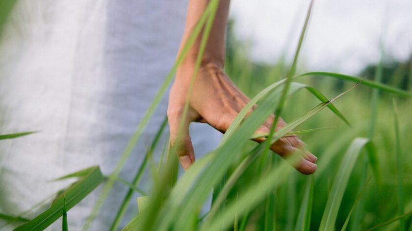 Kas yra probiotiniai tamponai ir kaip jie veikia sveikatą?
